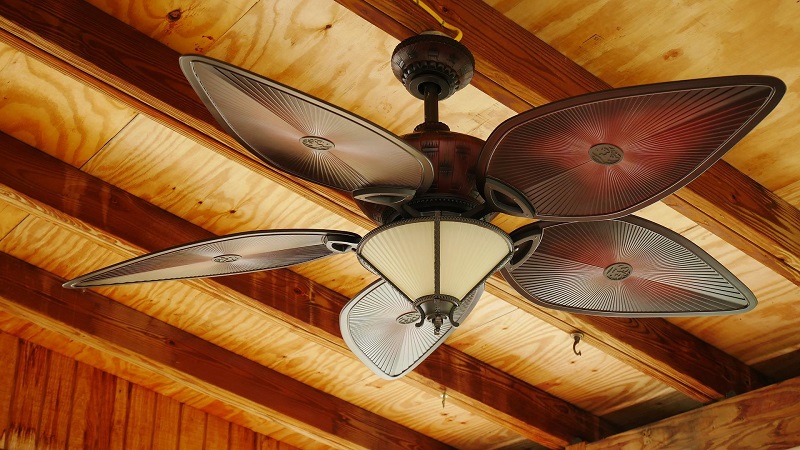 Find stylish ceiling fans